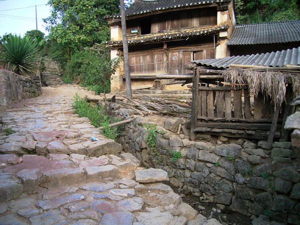 2022年蠻磚古樹春茶特點?