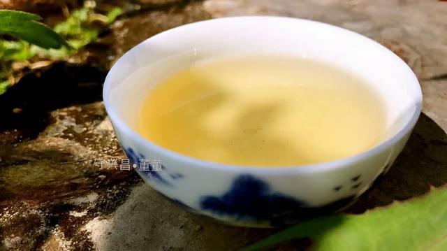 普洱茶有31種香味，你能聞出幾種來?
