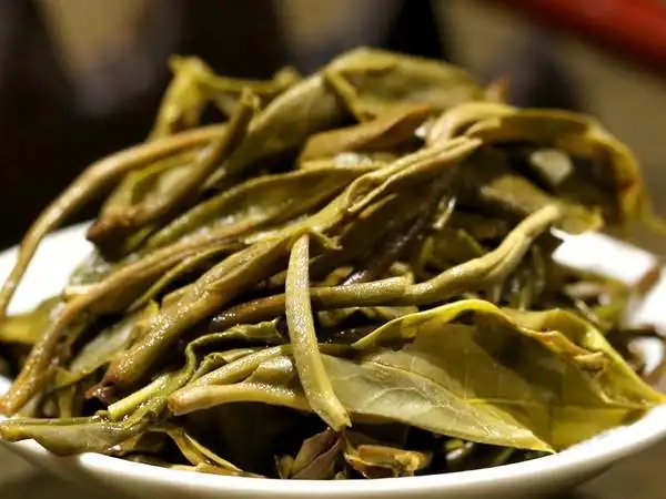 普洱茶好茶不怕“悶”，悶一悶看本味