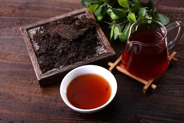 如何掌握好茶性，泡出一杯好喝的普洱熟茶？