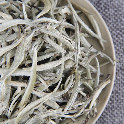 云南月光白，不一樣的白茶！
