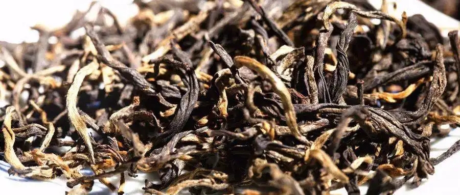 什么是茶氣？茶氣強(qiáng)勁又是一種怎樣的體驗(yàn)？