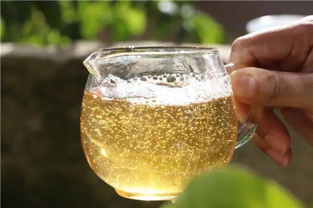 茶顏觀色”，看普洱茶條索里都蘊(yùn)含著怎樣的“密碼”？
