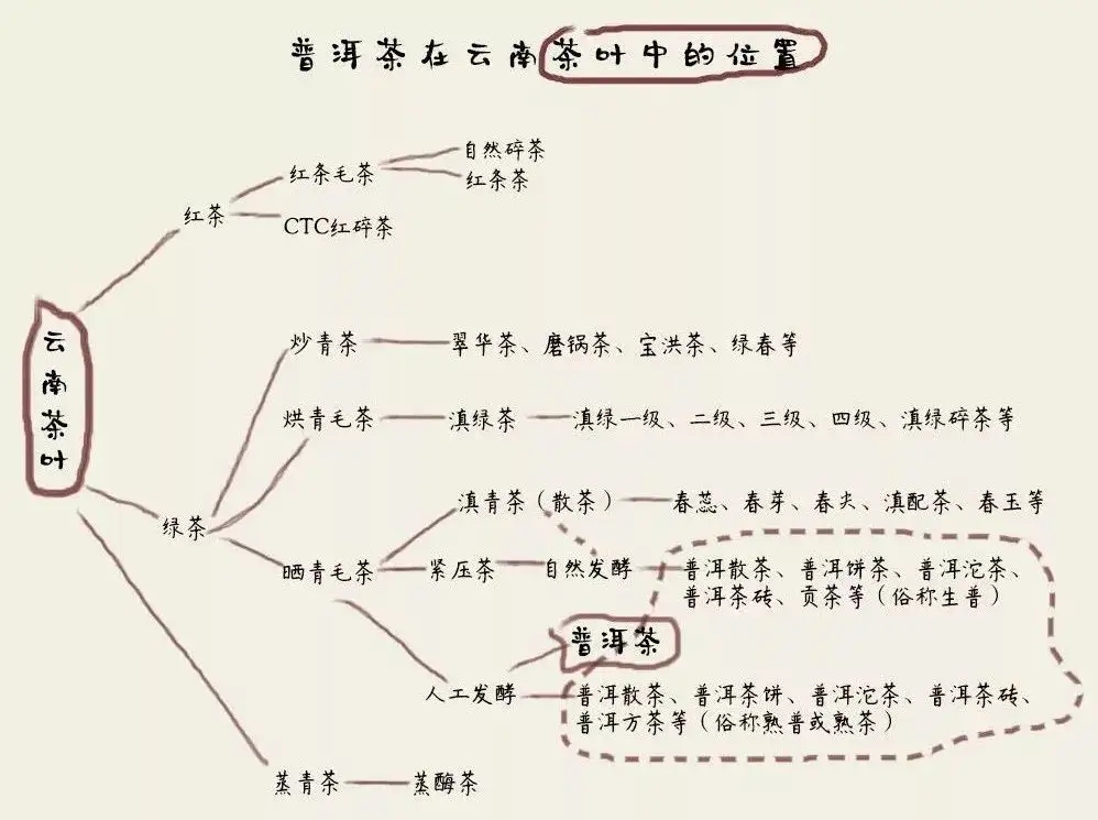 朱元璋“罷造龍團”，散茶崛起，普洱茶特立獨行！