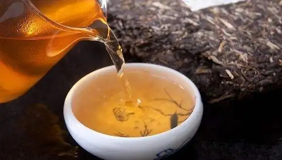 為什么越來越多人選擇普洱茶！