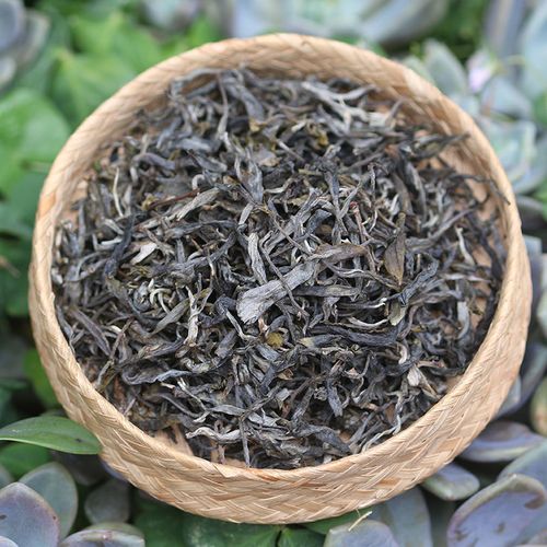 2023年班盆老寨古樹春茶特點？