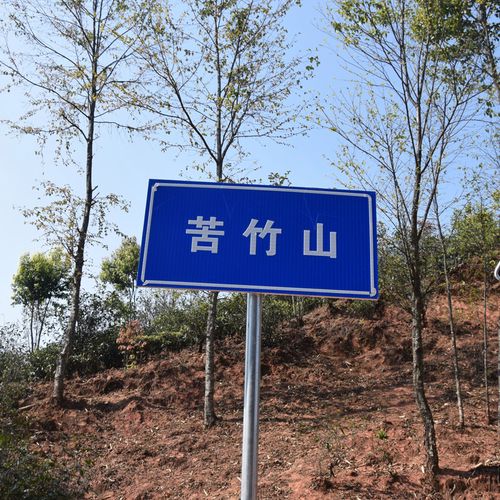 2023年苦竹山古樹春茶品質(zhì)如何？