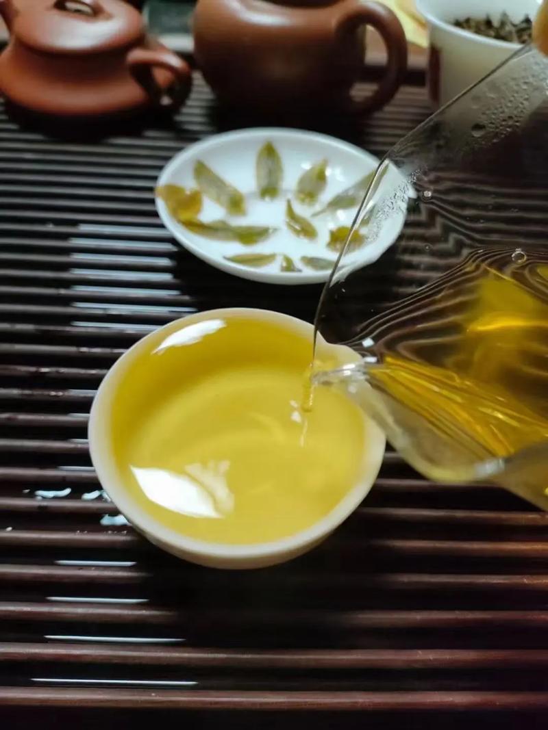 倚邦貢茶，甘甜醇柔